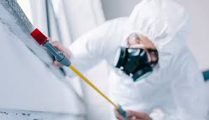 Best Residential Pest Control  in Lake Forest, CA